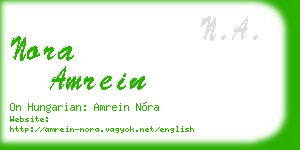 nora amrein business card